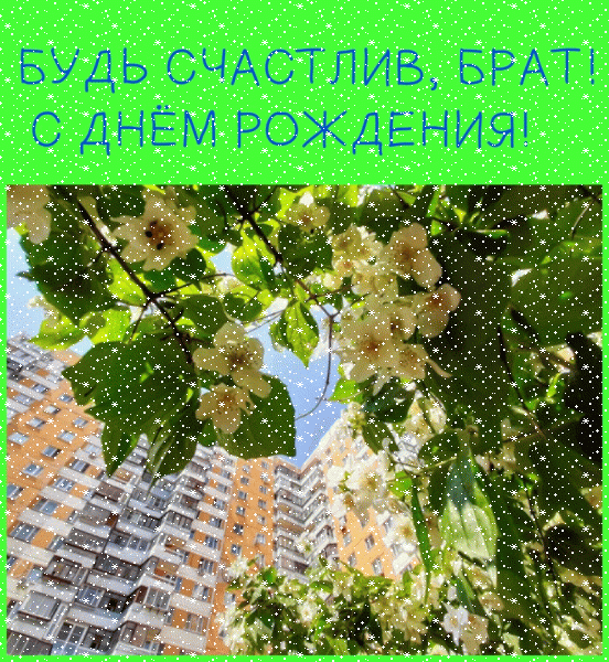 Стильная мерцающая GIF картинка «Сердечки» с днём рождения Брату с поздравлениями «Добрая открытка брату  С ДНЁМ РОЖДЕНИЯ!  На фоне многоэтажки цветущая липа + надпись.»